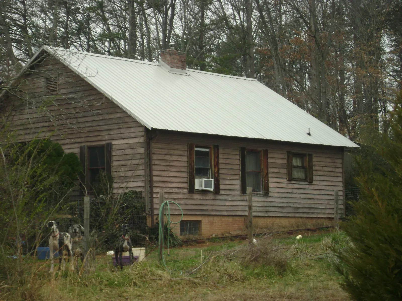 White metal roof on an old wood sided farmhouse, from a Asphalt Shingle Roof Repair job in Redmond